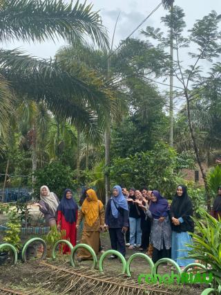 Manfaatkan barang bekas sebagai media Apotik Hidup oleh KKN Umri di desa Sri Gemilang